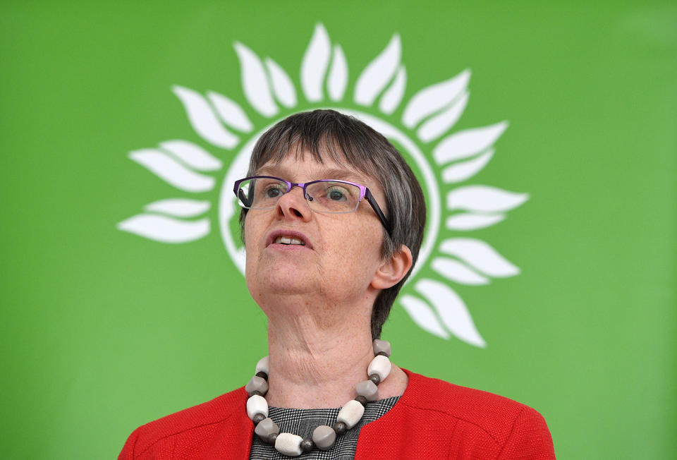 Green party campaigning ahead of the elections in London