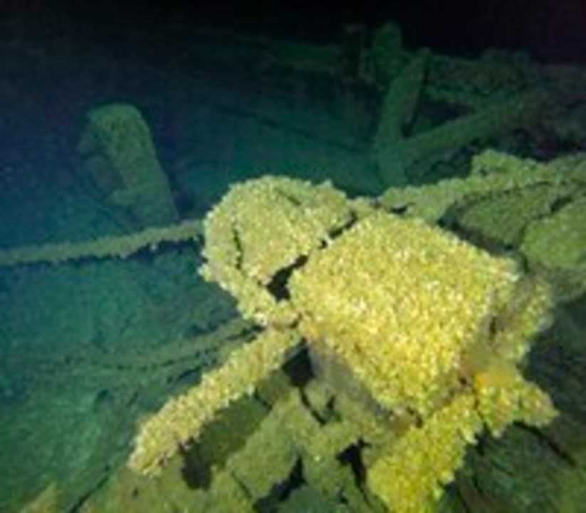 Quagga mussels carpet the bell of the wreck of the schooner Trinidad on the bottom of Lake Michigan in July 2023. Archaeologists are racing to locate Great Lakes shipwrecks before quagga mussels disintegrate them. ( Tamara Thomsen via AP)