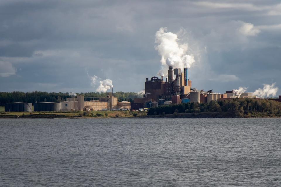 The Northern Pulp mill in Abercrombie Point, N.S. is pictured months before it closed in April 2020.  The union that represents 110 former mill workers whose jobs and pension membership were terminated this month.  (Robert Short/CBC - image credit)