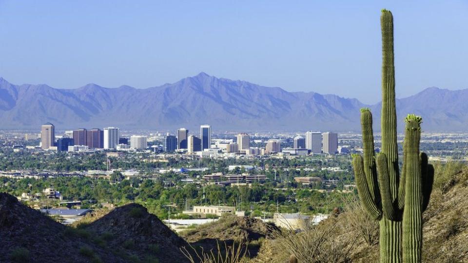 Un cáctus sahuaro y Phoenix, Arizona, de fondo.