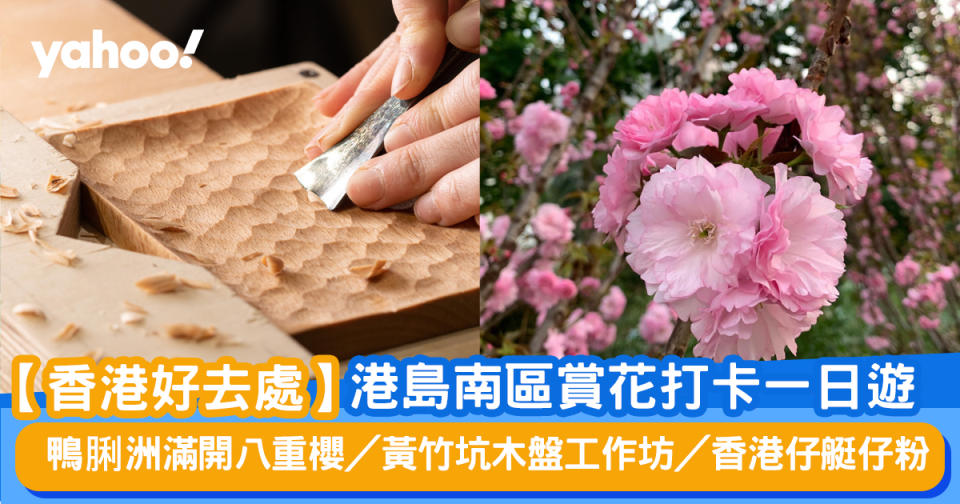 【香港好去處】港島南區賞花打卡一日遊 