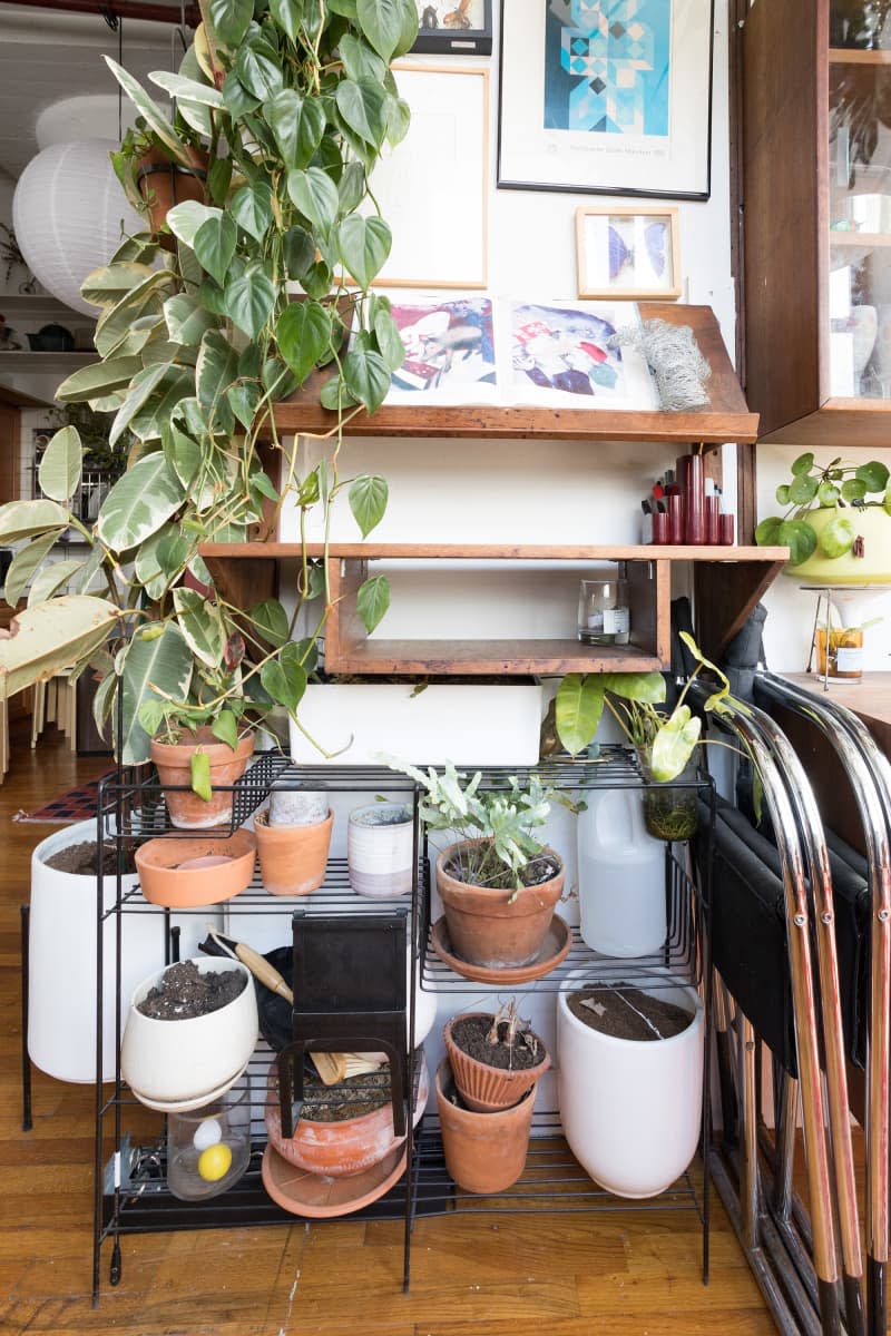 Planters in wire shelves.