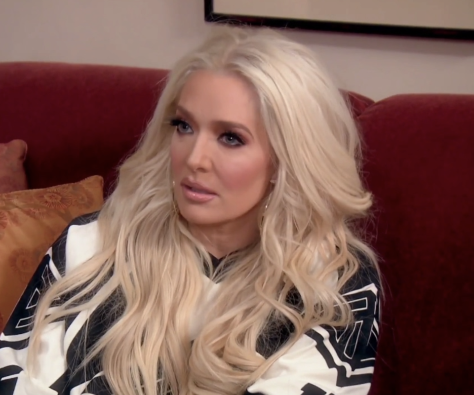 Closeup of Erika Jayne