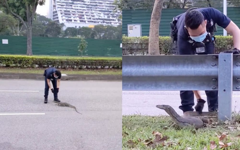 The police officers were saluted online for saving the wild creature. — Screengrabs via Facebook/JustKeepThinkingsg