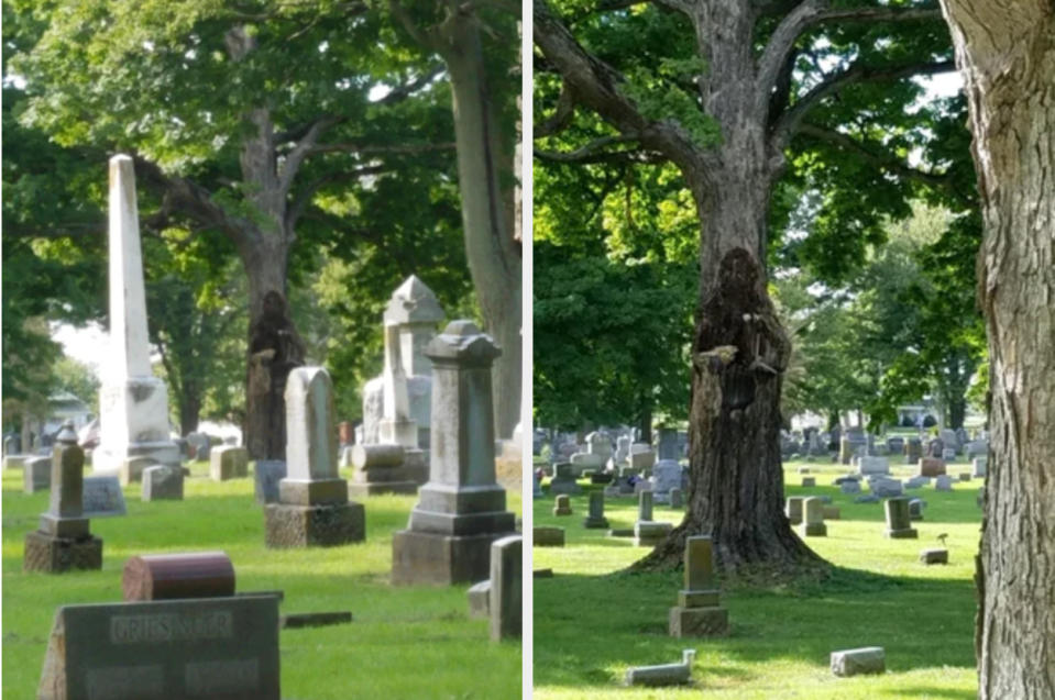 A figure carved into a tree