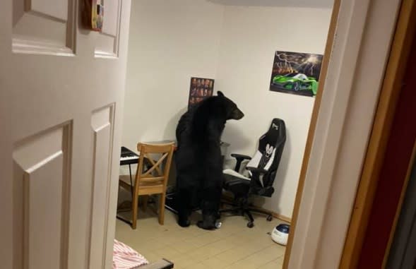 Sean Reddy一家人遇到黑熊擅闖民宅後肇事逃逸超傻眼。 （圖／翻攝自「Sean Reddy」Facebook）