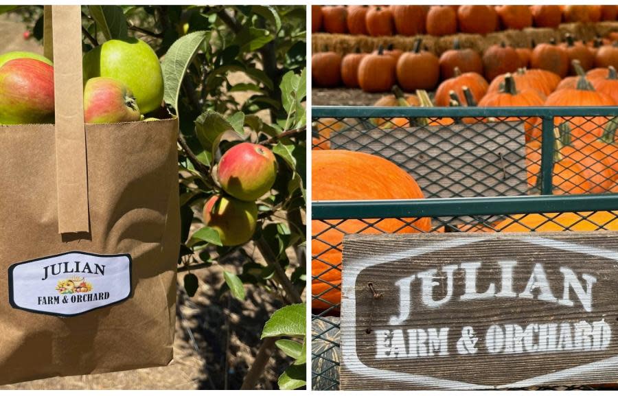 Julian, California está entre los mejores lugares en EEUU para recolección de manzanas este otoño 