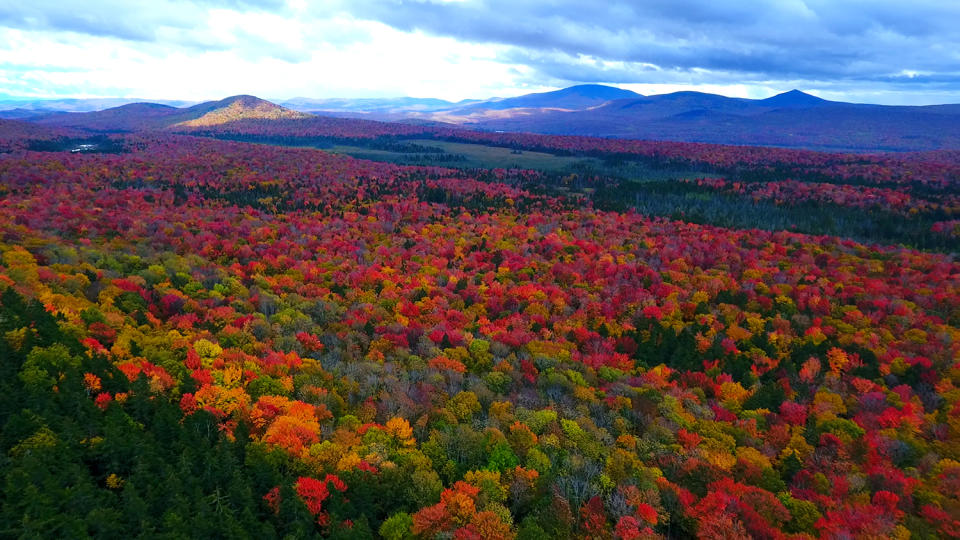 Aerial images capture beautiful autumn landscape 