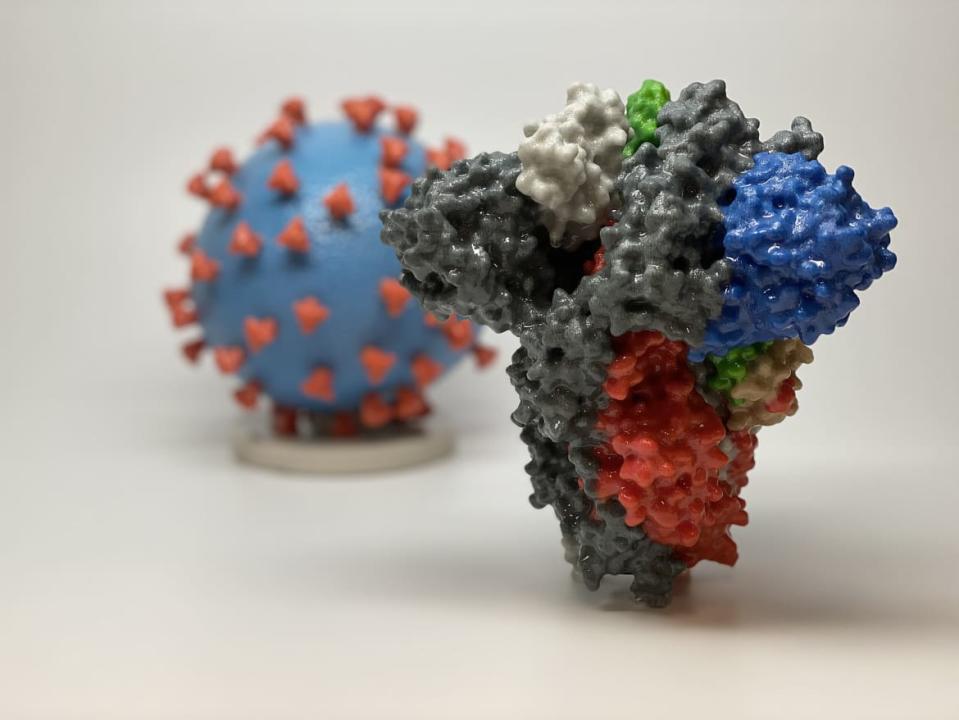 <div class="inline-image__caption"><p>A 3D print of a spike protein of SARS-CoV-2—the virus that causes COVID-19—in front of a 3D print of a SARS-CoV-2 virus particle. The spike protein (foreground) enables the virus to enter and infect human cells. On the virus model, the virus surface (blue) is covered with spike proteins (red) that enable the virus to enter and infect human cells.</p></div> <div class="inline-image__credit">NIH</div>