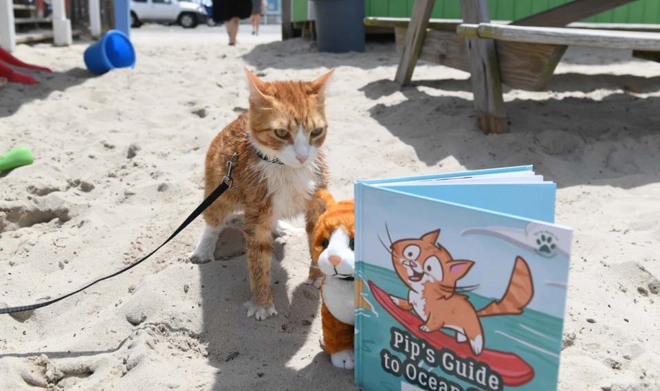 Michigan town becomes ‘Gay Hell’ under ‘temporary mayor,’ Pip the Beach Cat puts out a book in Maryland, and more