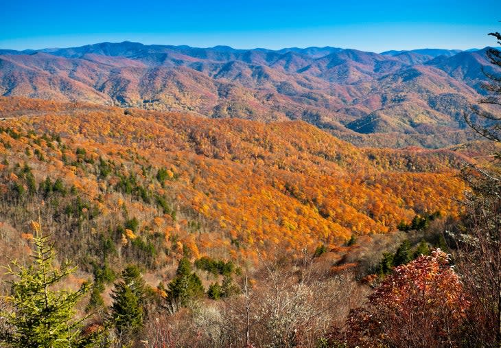 Autumn color views from Waterrock Knob on the Blue Ridge Parkway in North Carolina