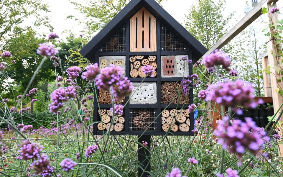 Decorative Insect house with compartments and natural components