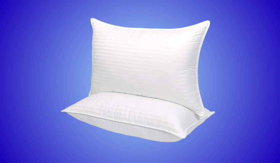 two cozsinoor pillows