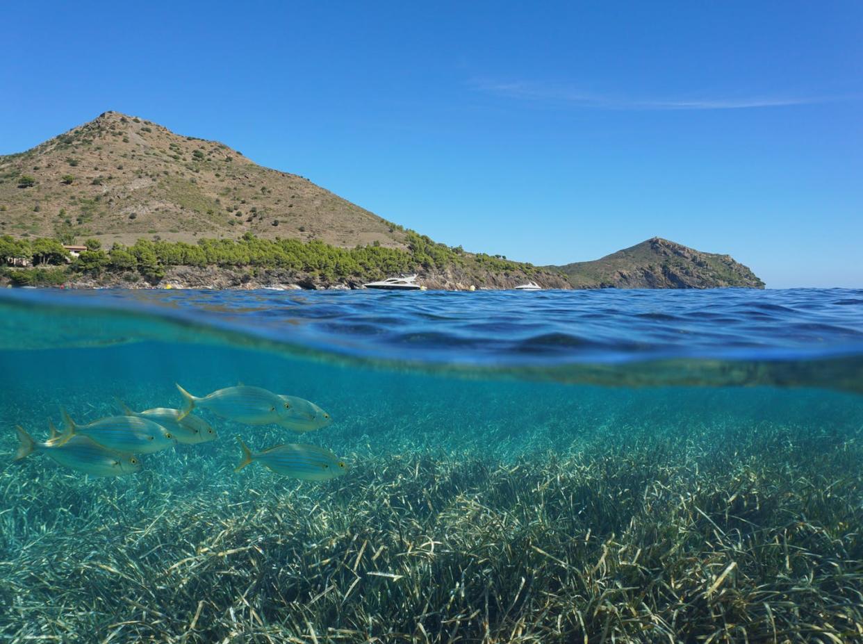 <span class="caption">Cap de Creus, Girona, visto desde el mar en el que está previsto el despliegue del parque eólico marino Tramuntana.</span> <span class="attribution"><a class="link " href="https://www.shutterstock.com/es/image-photo/spain-costa-brava-coastline-neptune-grass-1063921178" rel="nofollow noopener" target="_blank" data-ylk="slk:Shutterstock / Damsea;elm:context_link;itc:0;sec:content-canvas">Shutterstock / Damsea</a></span>