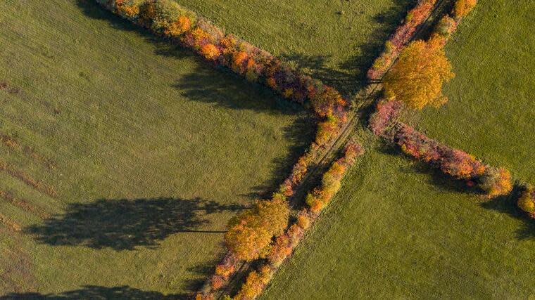 14.09.2017, Nordrhein-Westfalen, Haltern am See: Herbstlich verfärbt sind Bäume und Büsche auf einem Feld (Luftaufnahme mit einer Drohne). Foto: Marcel Kusch/dpa +++ dpa-Bildfunk +++ Foto: dpa
