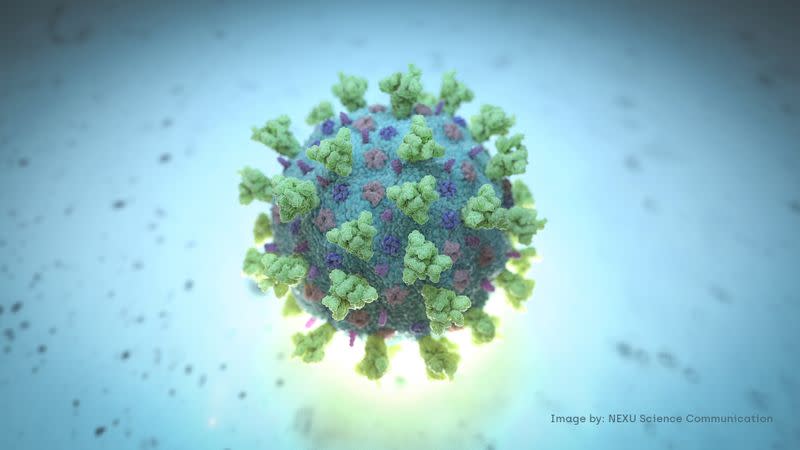 A computer image created by Nexu Science Communication together with Trinity College in Dublin, shows a model structurally representative of a betacoronavirus which is the type of virus linked to COVID-19