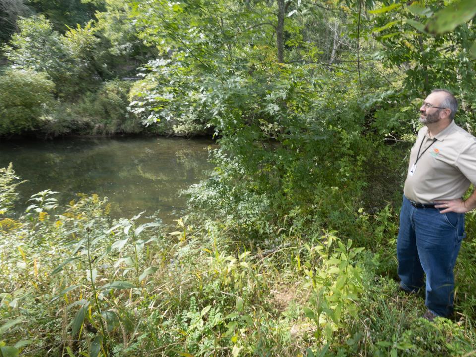 Stark Parks Director Dan Moeglin looks out to the Nimishillen Creek on a property in Pike Township where the park district plans to put in a kayak launch.