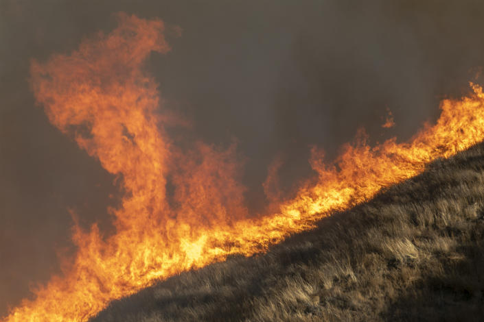 Strong winds drive the Easy Fire on Oct. 30, 2019 near Simi Valley, California.  (Photo: David McNew/Getty Images)