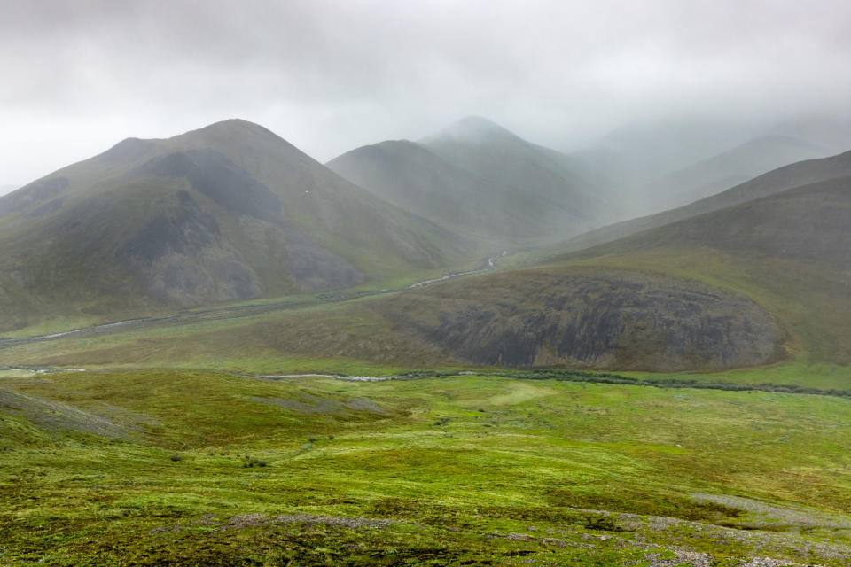 Rain and mist are seen on June 29, 2021, sweeping through the green summer tundra and bare rock face of the Brooks Range foothills. A beaver complex has been discovered along the Kongakut River, showing that a few of the animals have reached Alaska's treeless North Slope. (Photo by Lisa Hupp/U.S. Fish and Wildlife Service)