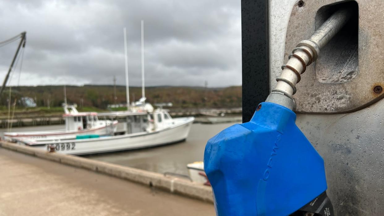 Diesel pumps like this are a key part of most harbours, but some hope electrical charging stations might someday become just as common. (Brett Ruskin/CBC News - image credit)