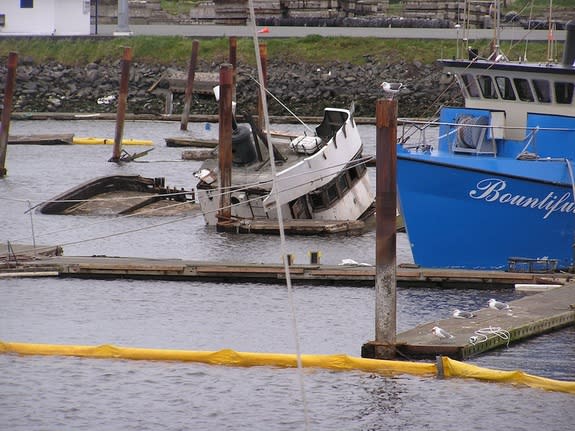 The March 11, 2011 Tohoku-oki tsunami caused significant damage to ships and docks within Crescent City Harbor in California. A number of ships were sunk within the harbor. Because of extensive sedimentation and potential contaminated debris wi