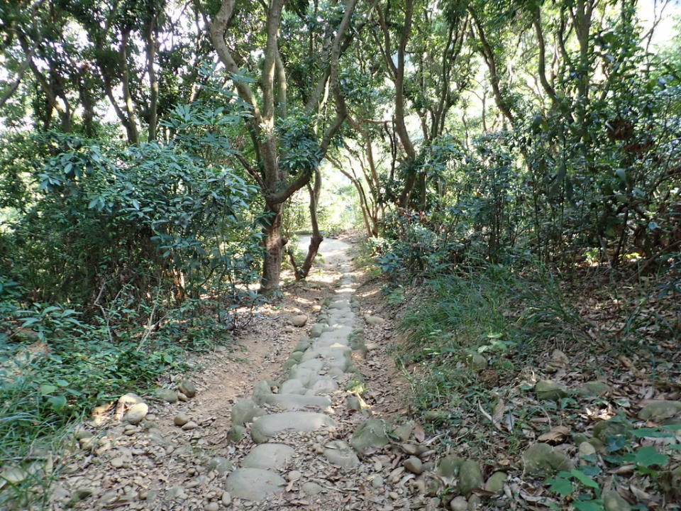 挑水古道＋碧山古道