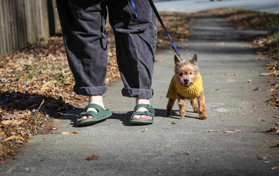 Kursten Hedgis walks her dog Bitsy in front of her home Dec. 9, 2020, in Decatur, Ga. Hedgis says Bisty's behavior changed when Hedgis began working from home early in 2020 because of the new coronavirus pandemic. (AP Photo/Ron Harris)