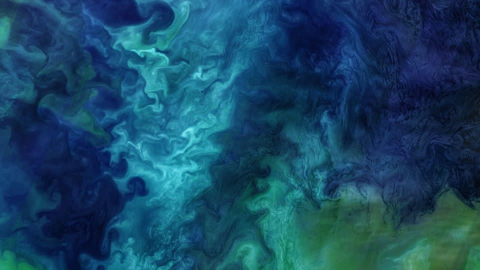 The waters off of the Alaskan coast usually come alive each year with striking blooms of phytoplankton that cause blue and green seawater patterns, such as those observed by the Landsat 8 satellite in June 2018. - Norman Kuring/NASA's Ocean Color Web/Landsat data from the US Geological Survey