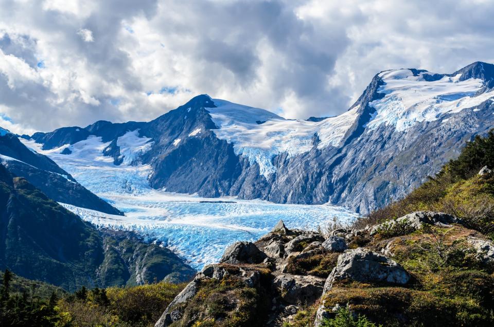 20 reasons why you must go on a cruise to Alaska