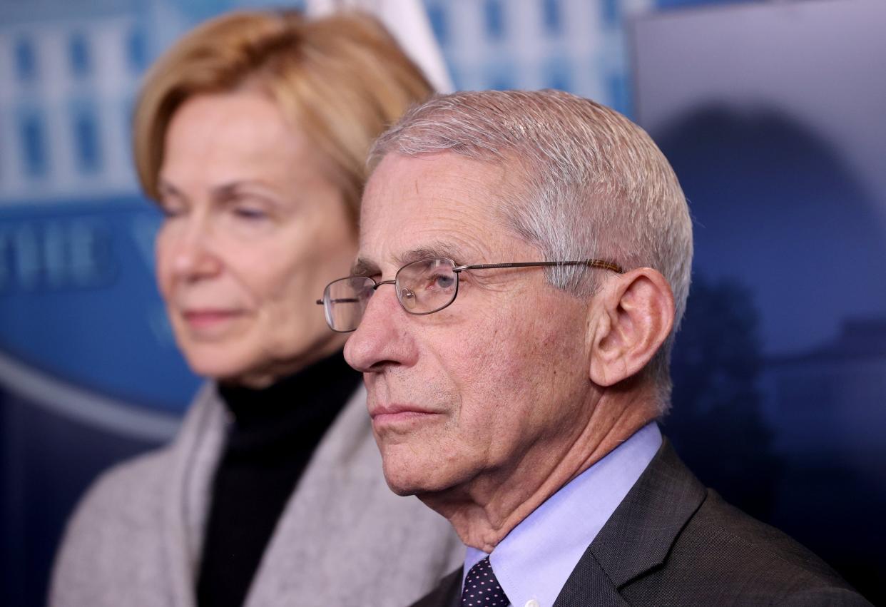 Dr Anthony Fauci, director of the National Institute of Allergy and Infectious Diseases, at a White House press conference on coronavirus: Getty Images