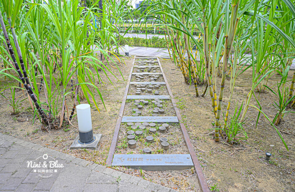 台中｜湧泉公園