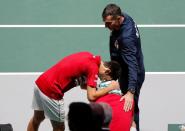 Davis Cup Finals - Quarter-Final