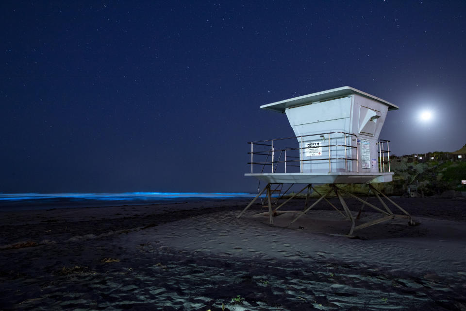 Waves glow with blue bioluminescence from an algae bloom in the ocean waters as a lifeguard tower sits on a beach still closed in efforts to slow the spread of the coronavirus Monday, April 27, 2020, in Del Mar, Calif. (AP Photo/Gregory Bull)
