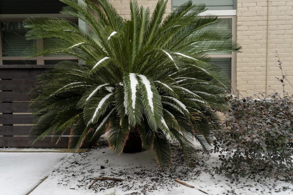 See Photos from the Record-Setting Winter Storm Uri: Its Impact on Texas and Beyond