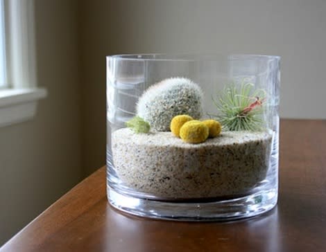 Mini terrarium