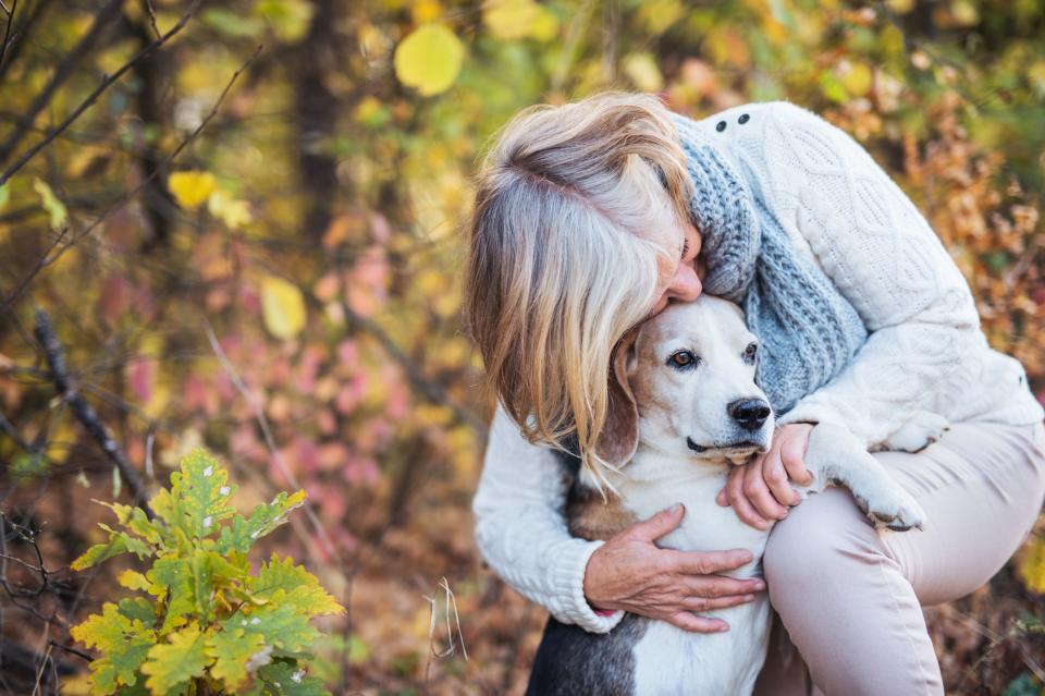 14 Dogs That Are Perfect for First-Time Pet Parents