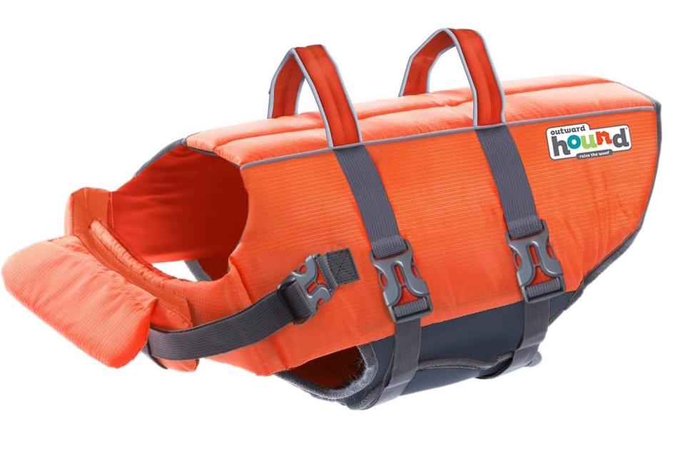 The Best Dog Life Jackets of 2024