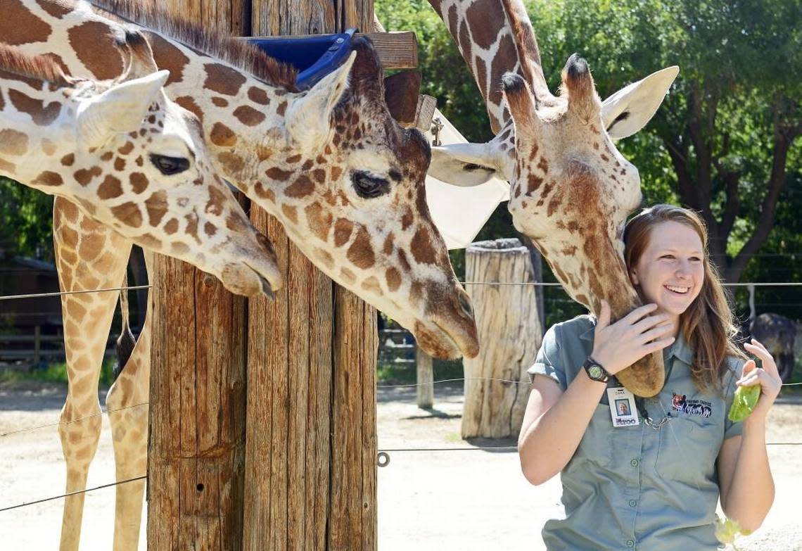 The Fresno Chaffee Zoo is the No. 3 most photographed place in town according to Yelp.com reviews.