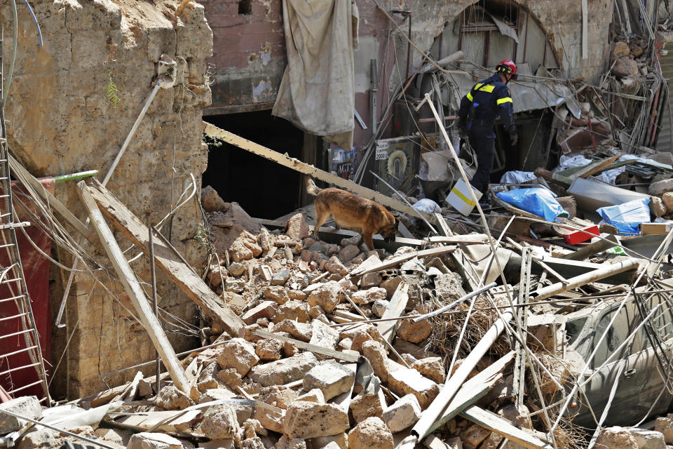 A French fireman and a rescue dog search in the rubble of a building after the Tuesday explosion at the seaport of Beirut, in Beirut, Lebanon, Thursday, Aug. 6, 2020. Lebanese officials targeted in the investigation of the massive blast that tore through Beirut sought to shift blame for the presence of explosives at the city's port, and the visiting French president warned that without serious reforms the country would "continue to sink." (AP Photo/Hassan Ammar)