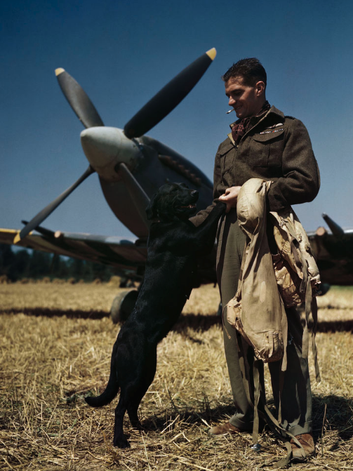 En imágenes: escenas icónicas de la Segunda Guerra Mundial capturadas a  color por primera vez