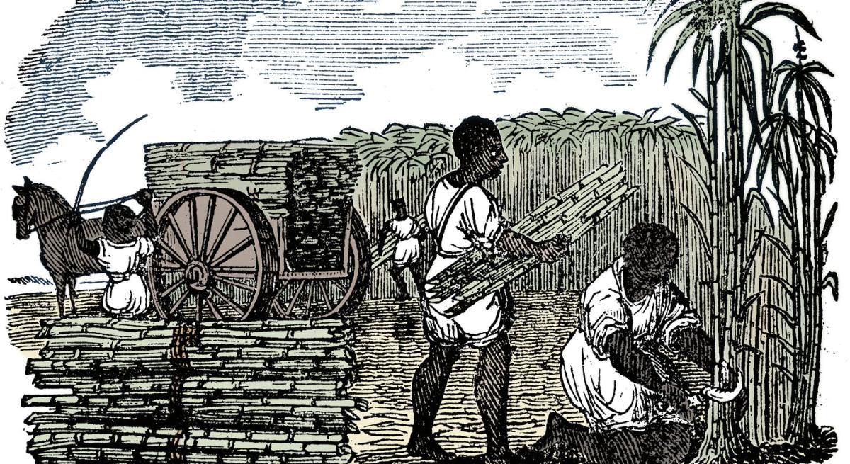  Slavery, Sugar, and the Culture of Refinement