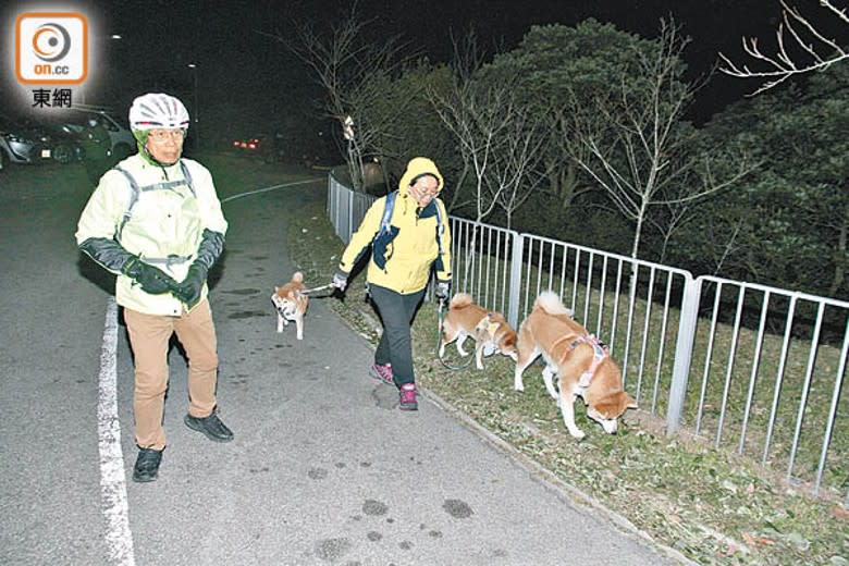 歐陽先生偕同家人上山放狗。（楊日權攝）