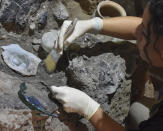 In this image provide by the Pompeii Archeological site press office, an archeologist works on the site of a new discovery. The latest discoveries in the ancient city of Pompeii are enriching knowledge about the everyday lives of middle-class households. The director of the archaeological site, Gabriel Zuchtriegel, said on Saturday, Aug. 6, 2022, that excavations of rooms in a home first unearthed in 2018, revealed the environment of ordinary citizens of the city, which was flourishing before being destroyed by the volcanic eruption of Mount Vesuvius in 79 A.D. (Parco Archeologico di Pompei via AP)