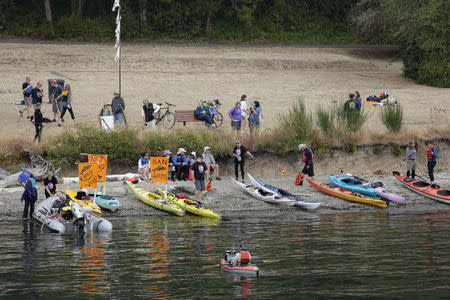 People gather on shore to protest near a an open-water net pen during a flotilla against the expansion and renewal of Atlantic salmon net pens in Washington state at Rich Passage off Bainbridge Island, Washington, U.S. September 16, 2017. REUTERS/Jason Redmond