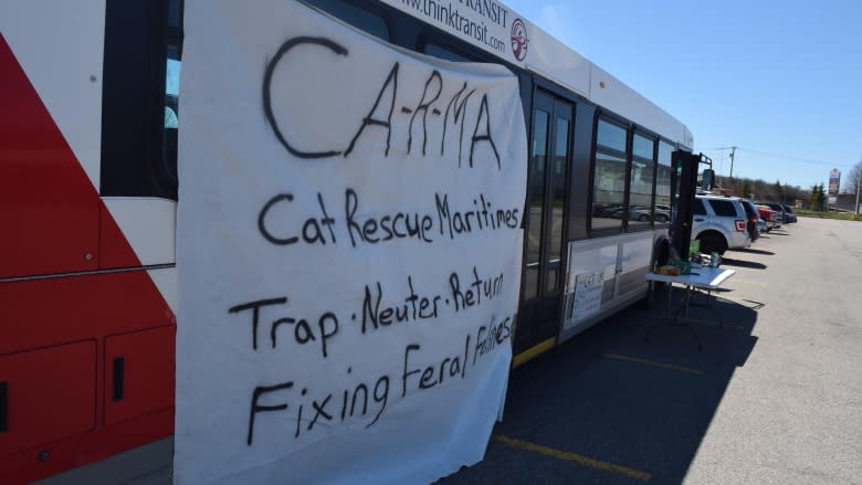 9 lives: How Cat Rescue Maritimes continues to soldier on