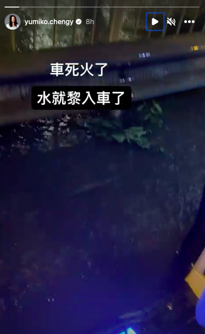 Yumiko揸車遇著水浸，架車不幸死火