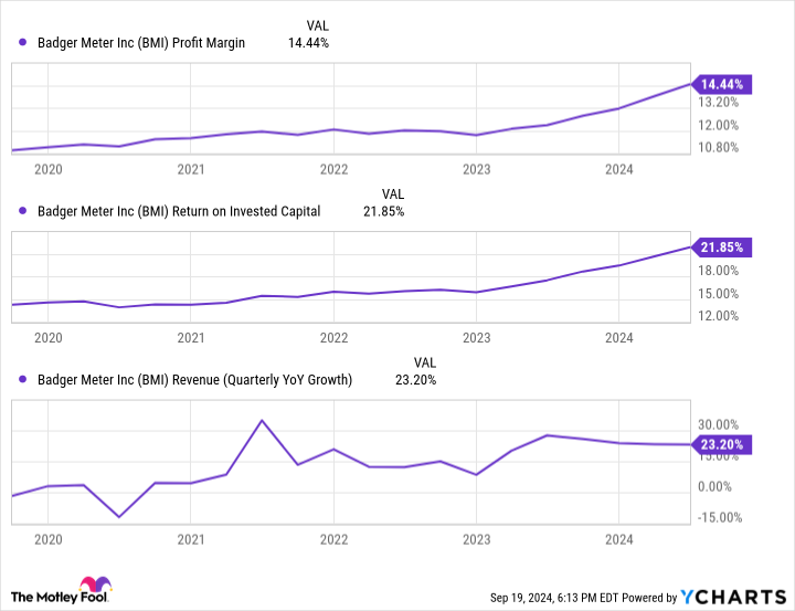 BMI Profit Margin Chart