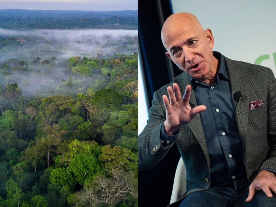 Amazon founder Jeff Bezos, and the Amazon rainforest. - Copyright: Eric Baradat/AFP/Getty Images