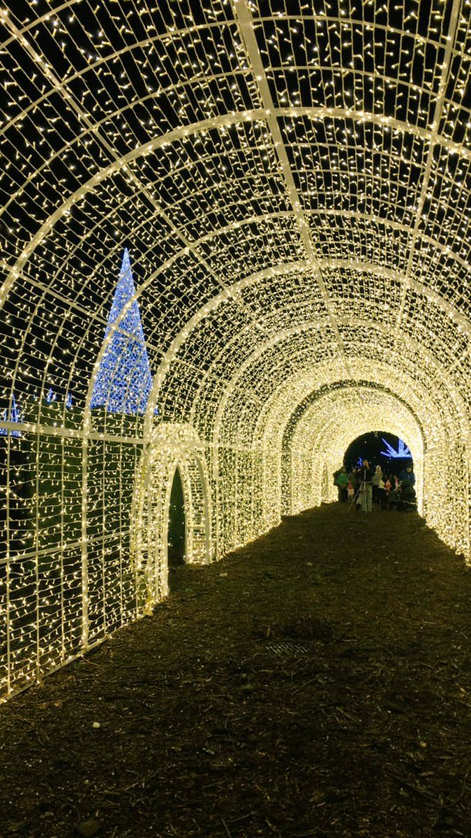 A new Christmas maze is lighting up the city of Vancouver. Photo from Twitter/@jess_emma.