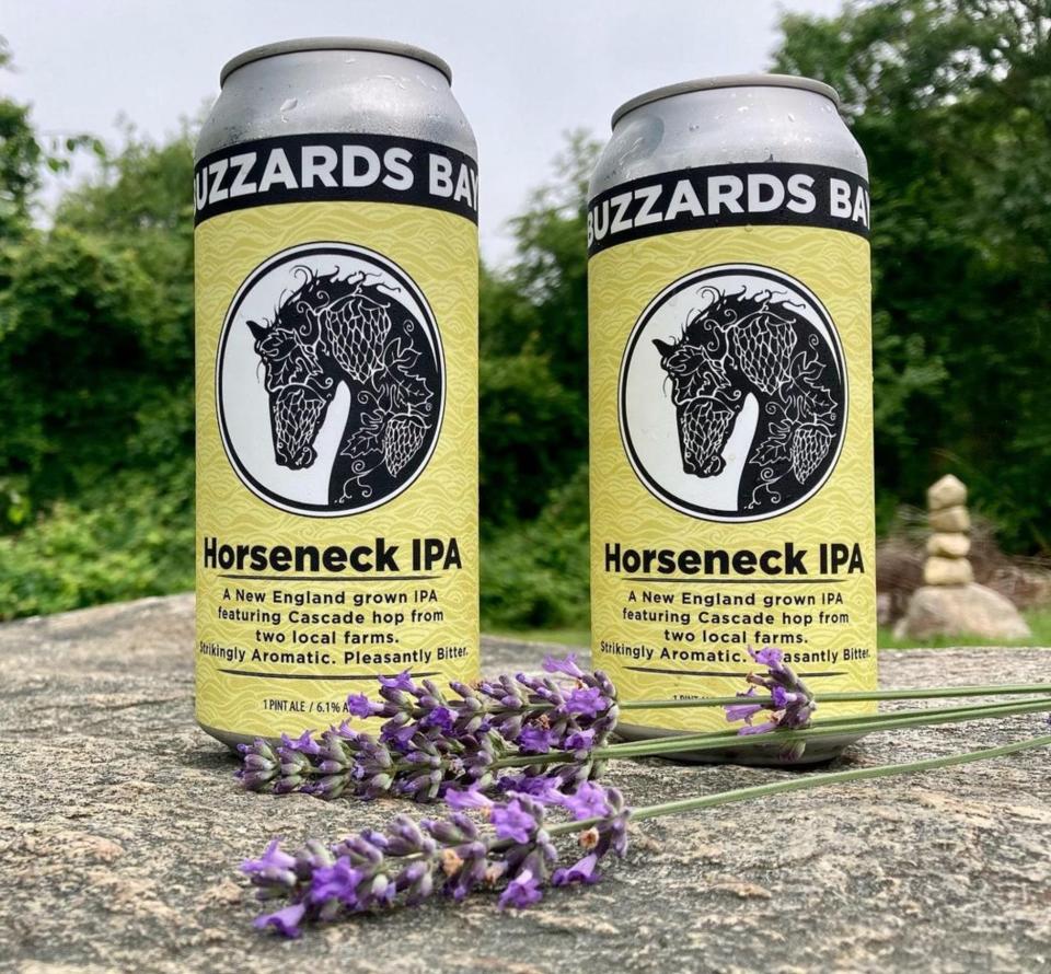 Horseneck Haze, a New England grown and New England-styled IPA, and Dumpling Rock Bock are two newly released craft beers available at Buzzards Bay Brewing.